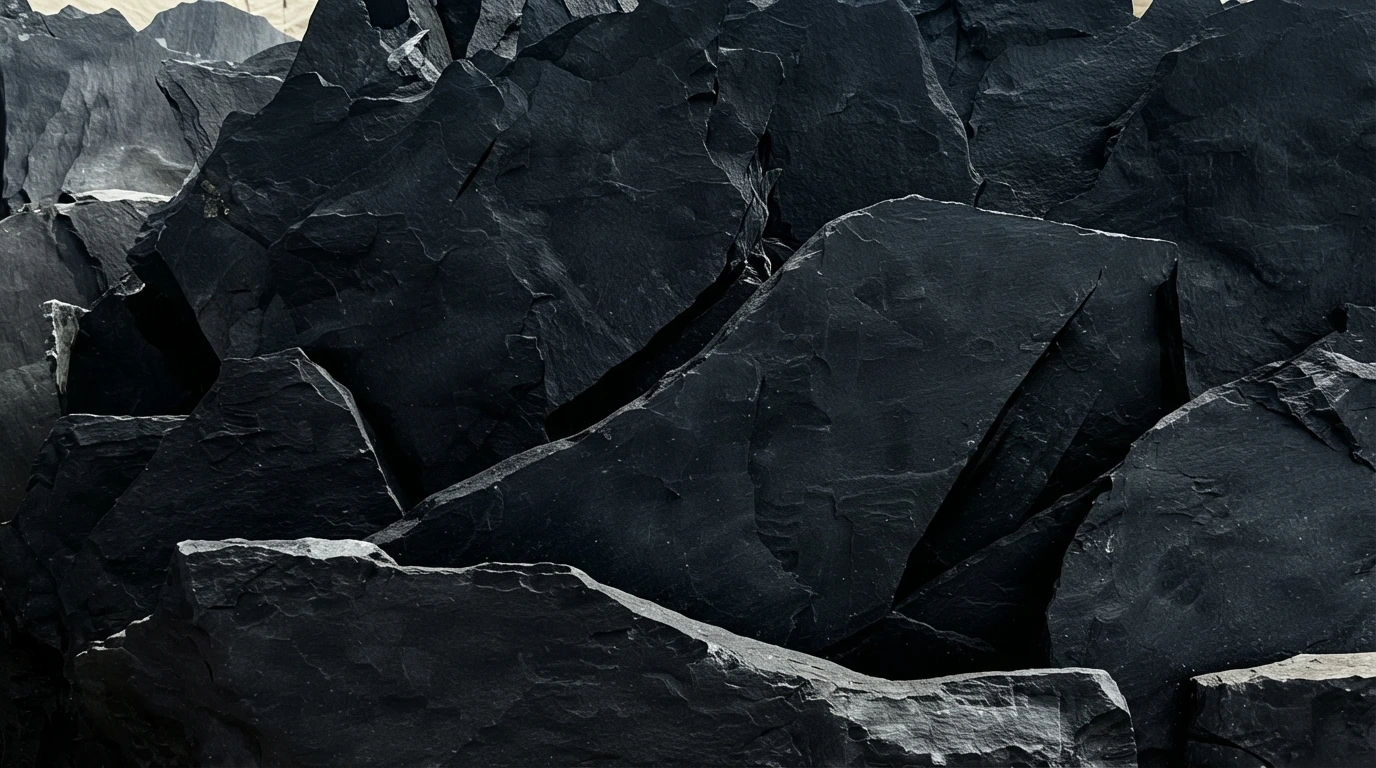 Colección Pizarra Negra de piedra laja natural