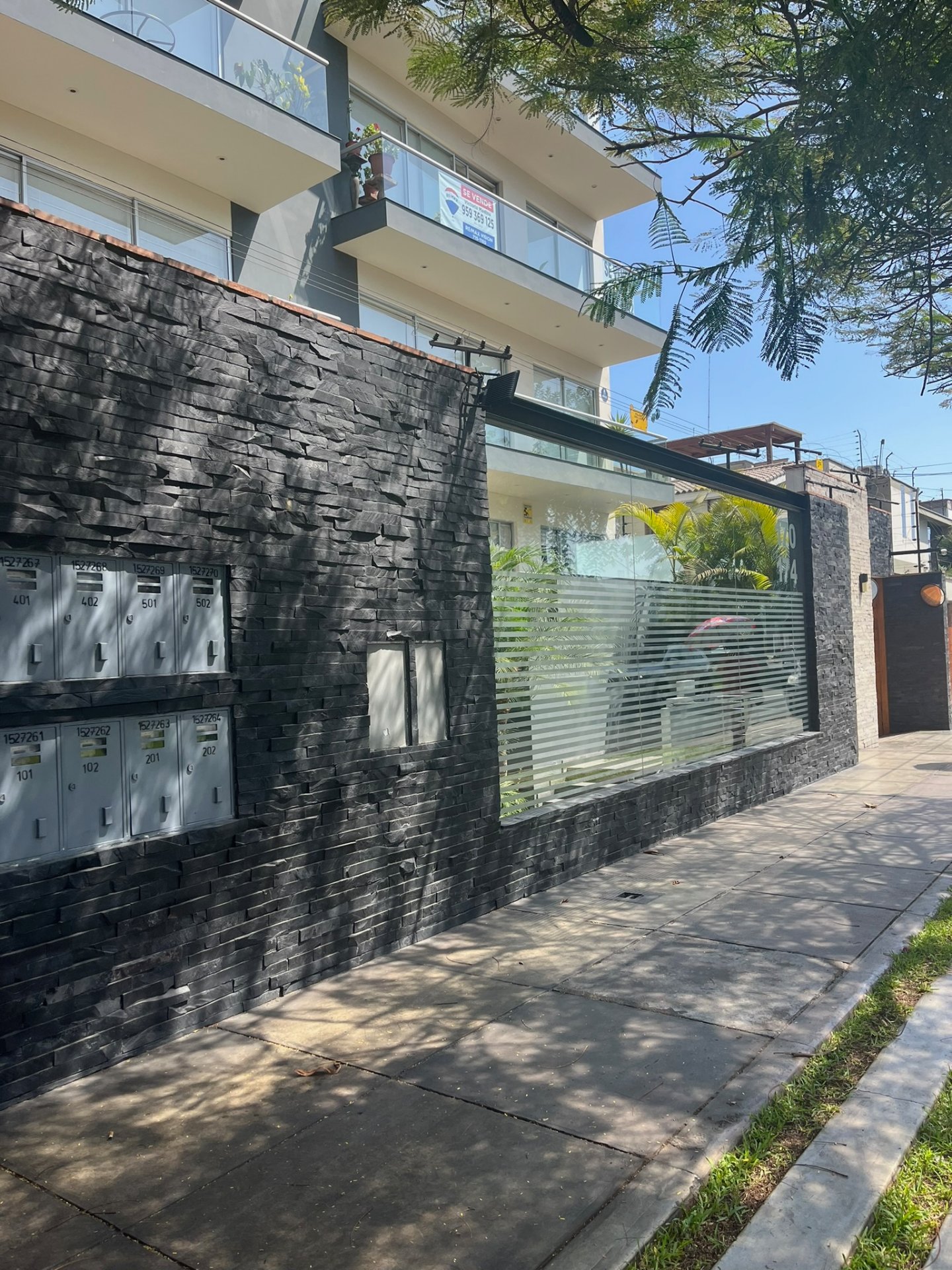 Muro de piedra natural con plantas