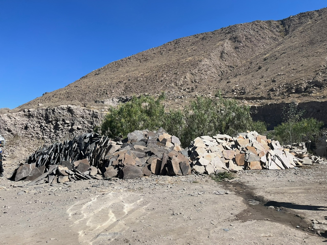 Nace en la montaña